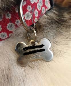 44 Hilarious Collar Tags For Pets Who Tend To Get Lost | Bored Panda