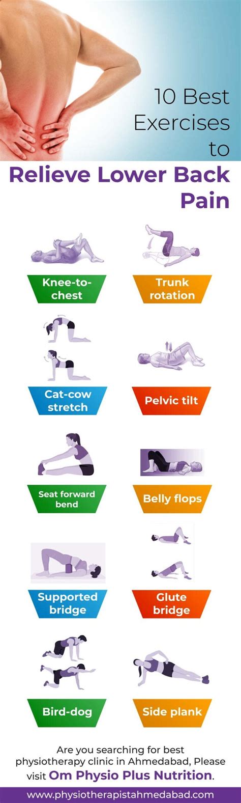 10 Best Exercises to Relieve Lower Back Pain | by Om Physio | Medium