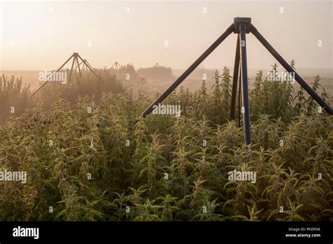 The LOFAR radio telescope Stock Photo - Alamy