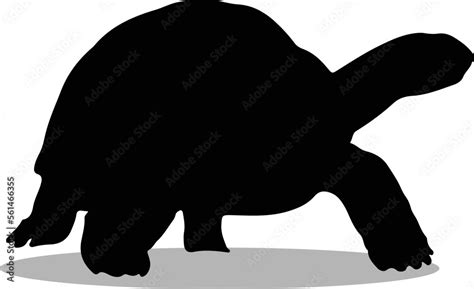 Tortoise Silhouette, cute Tortoise Vector Silhouette, Cute Tortoise cartoon Silhouette, Tortoise ...