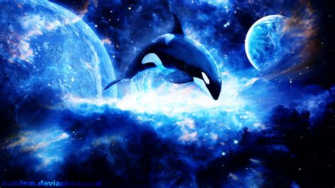 Orca Whale Underwater Beach Wallpaper Hd Desktop | Wallpapers Gallery