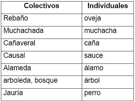 30 ejemplos de sustantivos colectivos y definición - Yavendrás