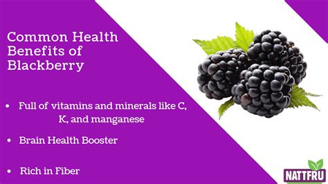 Blackberry Fruit Benefits: What Is Our Nutritional Quotient?