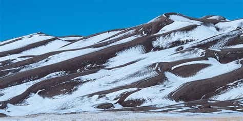 A Tree Falling: Great Sand Dunes: Winter