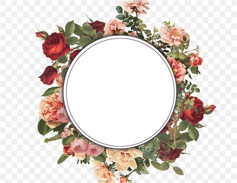 Flower Frame Background Png | Webframes.org