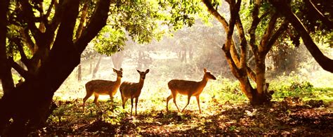 Cuc Phuong National Park - Vietnam's first national park