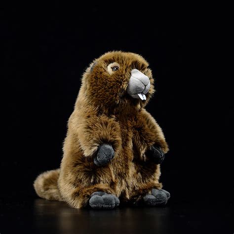 Realistic Groundhog Stuffed Animal Plush Toys – KEAIart