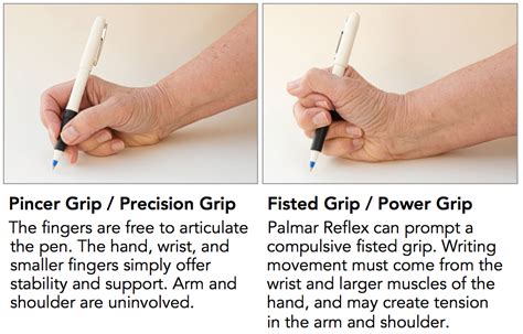 Whole-Brain Living and Learning: Understanding the Palmar (Hand) Reflex - and the “Grasp ...