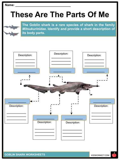 Goblin Shark Facts & Worksheets | Taxonomy, Anatomy, Habitat