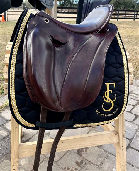 Our professional Services | Equine Saddlefit USA