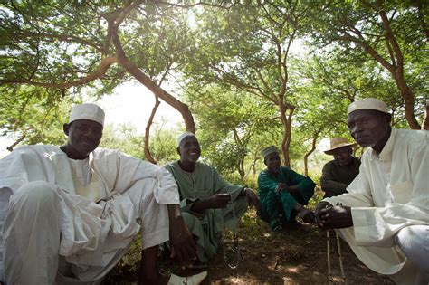 How do you stop the desert? Niger may have the answer - Global Landscapes Forum