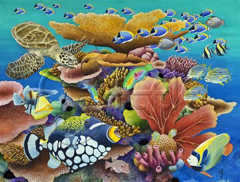 Tropical Coral Reef Fish | ubicaciondepersonas.cdmx.gob.mx