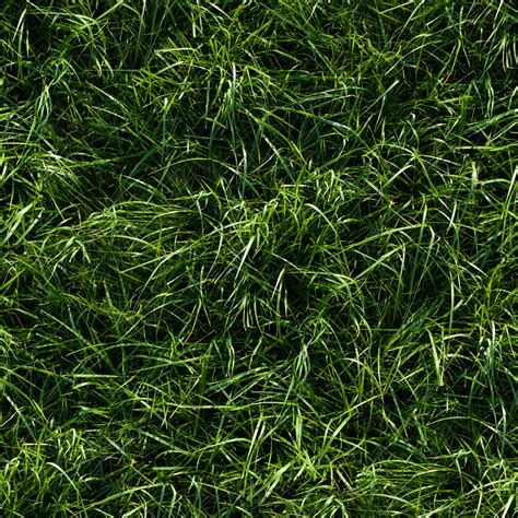 HIGH RESOLUTION TEXTURES: Seamless long green grass ground texture