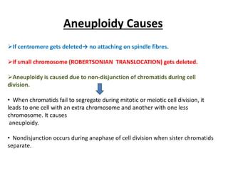 Aneuploidy | PPT