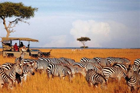 The Top 8 Wildlife Safari Parks In Africa - Africa.com