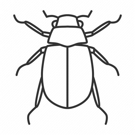 Arthropoda, beetle, bug, chafer, insect, junebug, melolontha icon - Download on Iconfinder