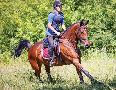 Psychology for the Horse Rider - From Self-Sabotage to Success | Horse Journals