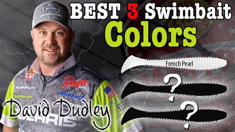 Top 3 Swimbait Colors for Bass Fishing – Bass Manager | The Best Bass Fishing Page On The Internet