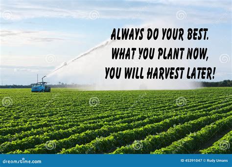 Quotes About Farming