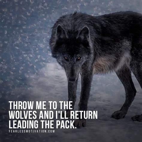 Alpha Wolf Quotes Wallpaper