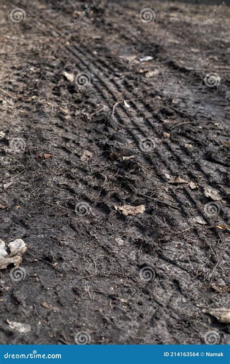 Tire Marks on a Car on a Country Road, Vertical Stock Photo - Image of natural, design: 214163564