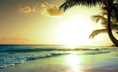 Tropical Beach Sunset 4k, HD Nature, 4k Wallpapers, Images, Backgrounds, Photos and Pictures