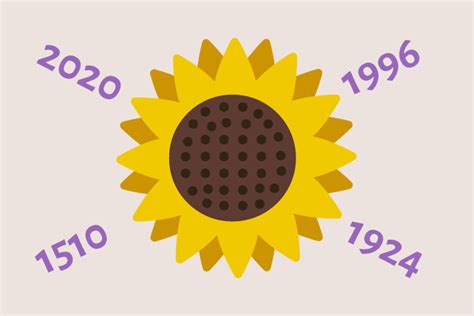 The history of sunflower [INFOGRAPHIC] - Gain4Crops