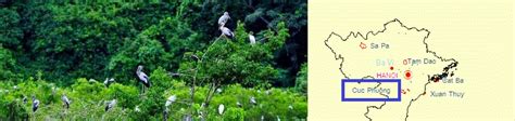 How's To Birding In Cuc Phuong National Park [update 2023] | WANEE Asia