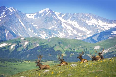 Camping Near Rocky Mountain National Park - Yogi Bear's Jellystone Park ...