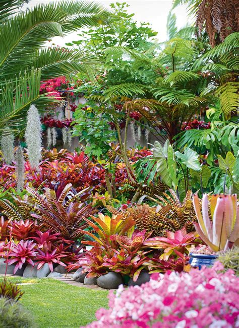 Tropical Garden Ideas: Creating A Paradise In Your Backyard – HOMYSTYLE