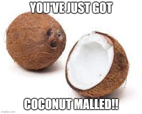 YOU JUST GOT COCONUT MALLED Memes - Imgflip