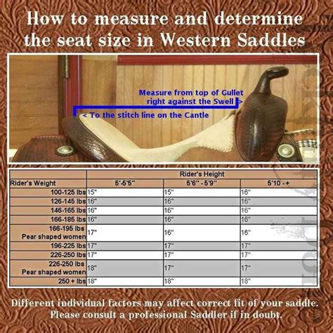 Measuring a saddle | Horses, Horse care, Western saddle