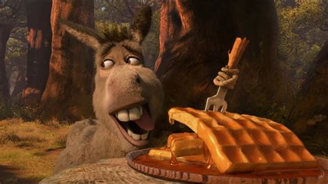 Donkey Reaching for Waffles: Video Gallery | Know Your Meme