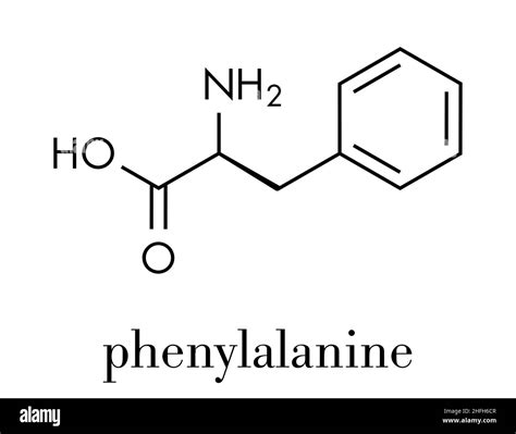 Phenylalanine (l-phenylalanine, Phe, F) amino acid molecule. Skeletal formula Stock Vector Image ...