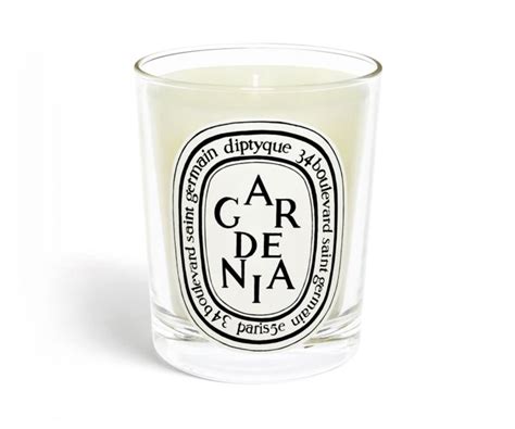 The 19 Best Diptyque Candles, Including the Best Sellers | Who What Wear