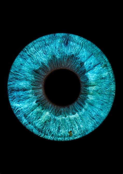 Macro Photography Eyes, Photography Wall Art, Blue Eyes Aesthetic, Iris Eye, Eyeball Art, Eye ...