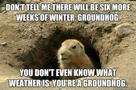 Punxsutawney Phil Groundhog Day 2024 Meme - Wendy Joycelin