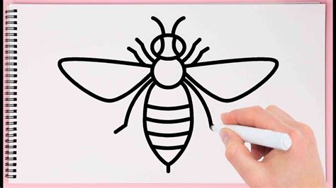 Honey Bee Drawing For Kids