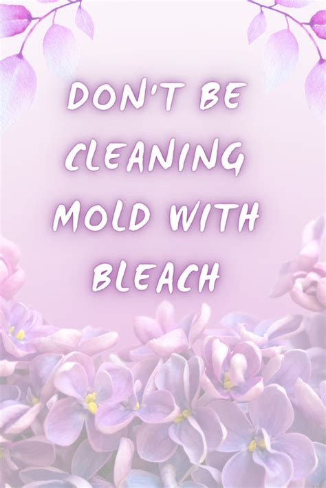 Don’t Be Cleaning Mold With Bleach