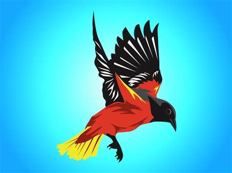 Colorful Bird Vector Art & Graphics | freevector.com