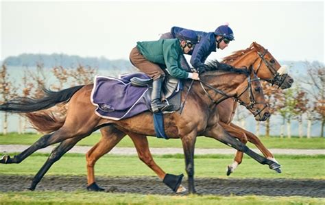 Welcome to Ed Walker Racing | Upper Lambourn