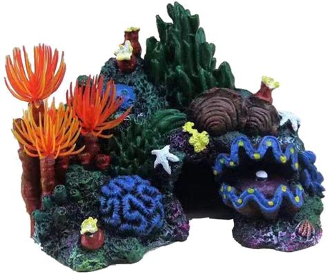 Types of Aquarium Rocks | How to Choose Suitable Rocks » 2024