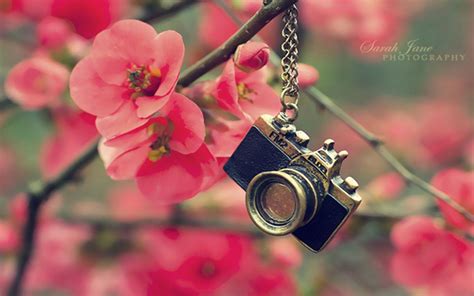 Cute Camera Wallpapers - Top Free Cute Camera Backgrounds - WallpaperAccess