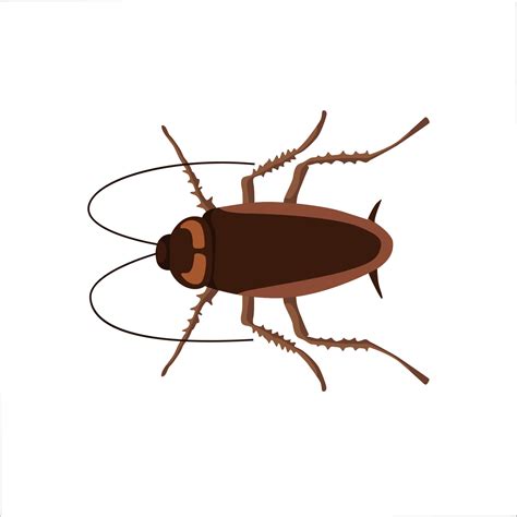 Cockroach Color Clipart Vector Illustration Design 3235687 Vector Art at Vecteezy