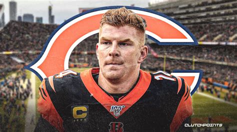 Bears sign QB Andy Dalton to one-year deal