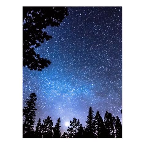 Forest Star Gazing An Astronomy Delight Postcard | Zazzle.com