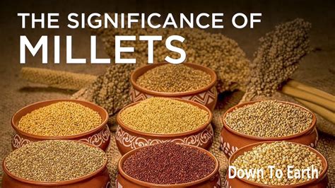 What Are Millets? Types Of Millets, Health Benefits, Millet, 47% OFF