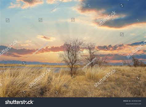 899 Eurasian Steppe Images, Stock Photos & Vectors | Shutterstock