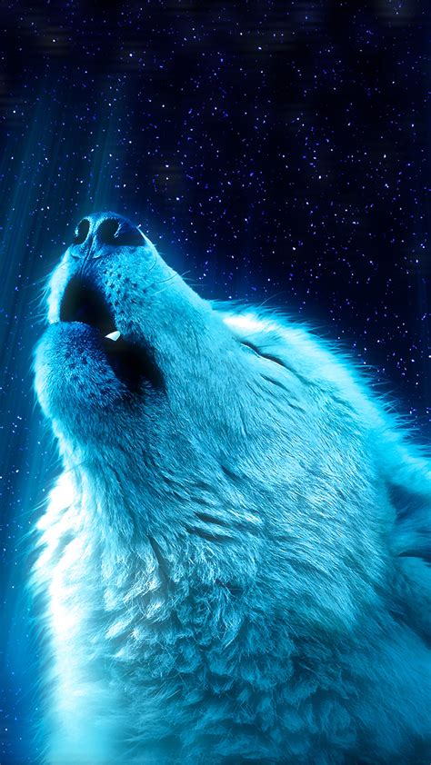 Wolf Howling Wallpaper Hd