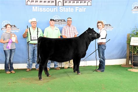 Missouri State Fair Open Show – Limousin365